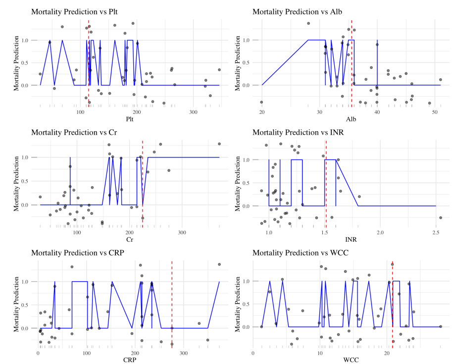 Necrotizing fasciitis project preview